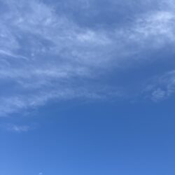 IMG_E6500
